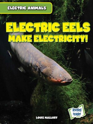 cover image of Electric Eels Make Electricity!